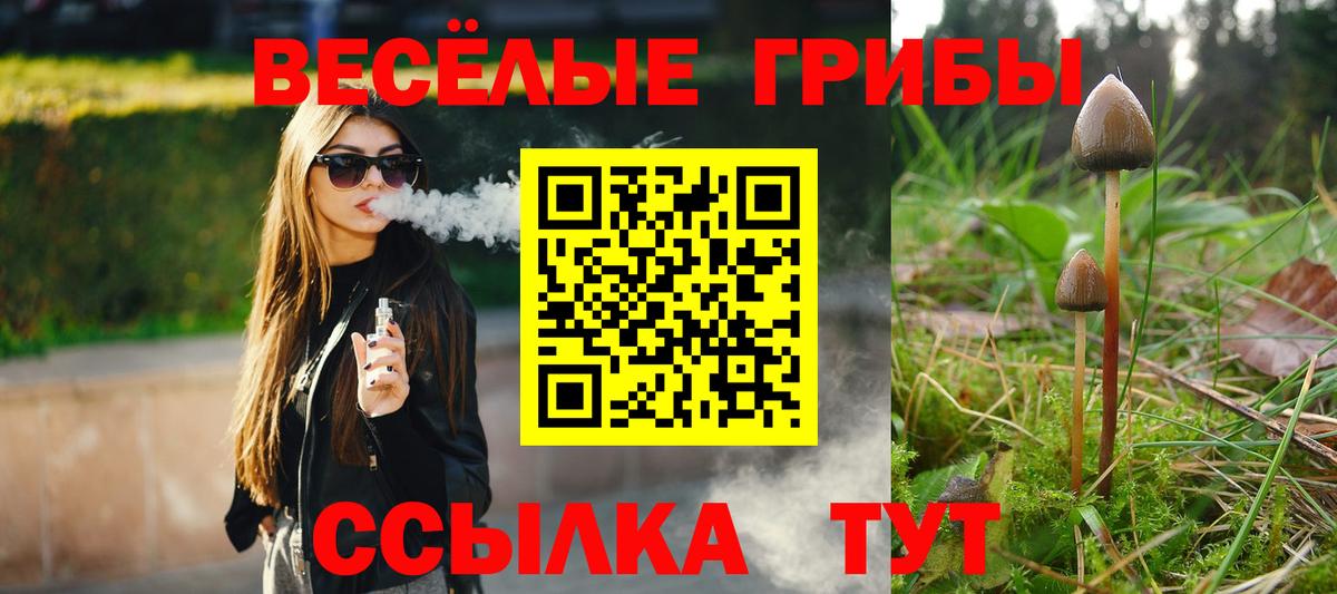наркота  Псилоцибиновые грибы Cubensis  Вход с VPN  Галлюциногенные грибы прущие грибы  Мирный 