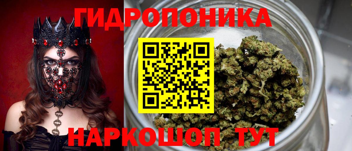 Каннабис семена  Марихуана конопля  Шишки марихуана Ganja  Мирный  Конопля SATIVA & INDICA  Вход с VPN 